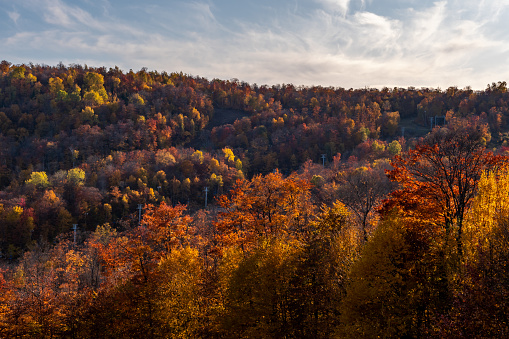 Mountain range and colourful forest in the Laurentides area, Quebec, during sunset.