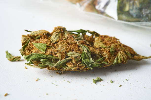 istock Recreational drug Marijuana 1259486873