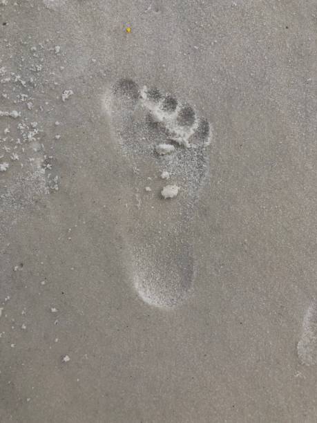 istock Footprint on the beach 1259489487
