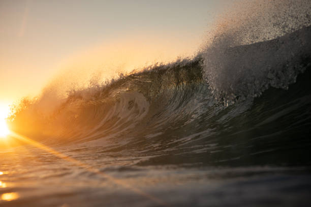 istock Splashing waves at sunrise 1259503125