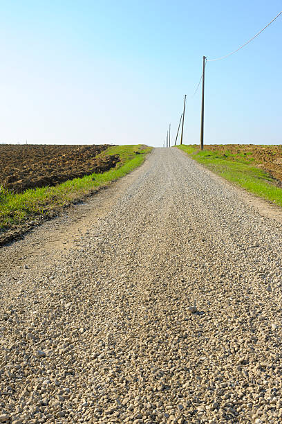 istock Long Dirt Road Vanishing into the Distance between Fields 125950382