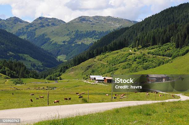 Schoenachtalschoenach Valley In Österreich Stockfoto und mehr Bilder von Agrarbetrieb - Agrarbetrieb, Almosen, Alpen