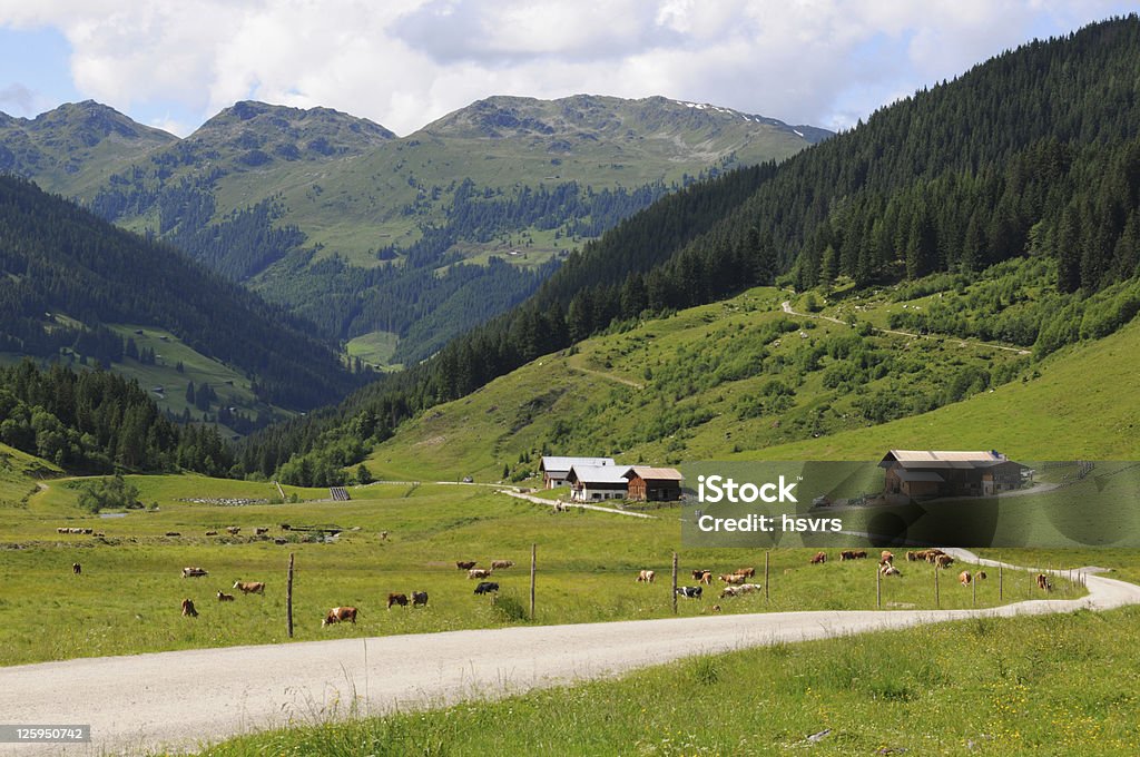 Schoenachtal-Schoenach valley w Austrii - Zbiór zdjęć royalty-free (Alpy)