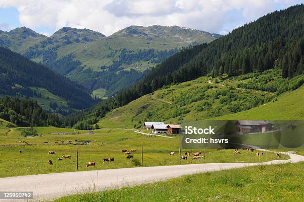 Schoenachtalschoenach Valley W Austrii - zdjęcia stockowe i więcej obrazów Alpy - Alpy, Arteria, Austria