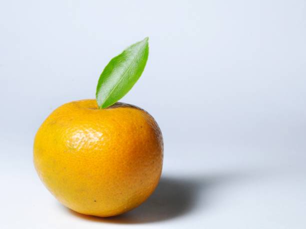 istock Orange fruit and green leaf isolated on white background 1259535019