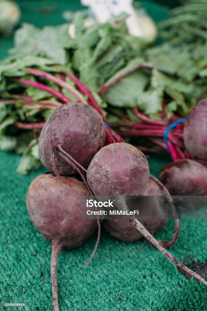 Organic fresh beet. Picking roots vegetable at farm. Selling fresh beet at the farmers market. Healthy food concept. Agriculture Stock Photo