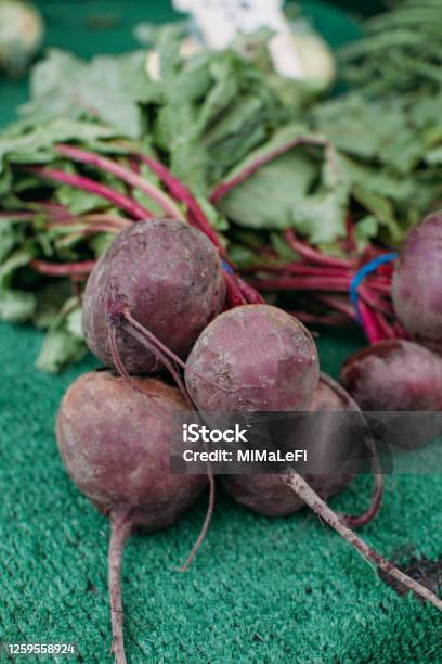 Organic Fresh Beet Picking Roots Vegetable At Farm Selling Fresh Beet At The Farmers Market Healthy Food Concept Stock Photo - Download Image Now