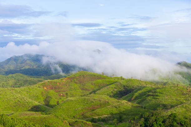 istock Green grass hill on top of mountain. 1259559026
