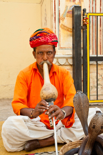 A Snake Charmer With Bright Orange Shirt And Two Cobras
