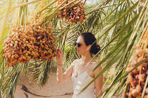 A young lady tastes a sweet date directly collected from the date palm. Desert oasis.