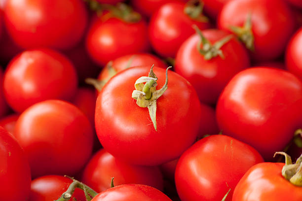 Tomatoes background stock photo