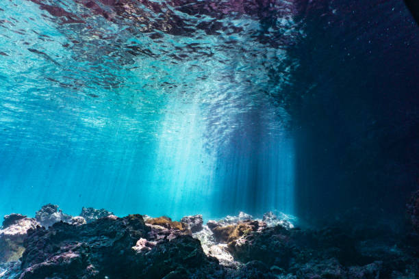 istock Underwater blue lagoon with beams of sunlight streaming through waters surface 1259608657