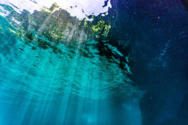 istock Underwater point of view sunbeams sunlight water surface background copy space 1259608701