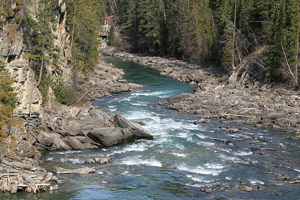istock Thompson River in the Canadian Rockies 125960959