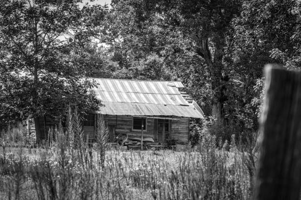 istock Abandoned, falling down house in overgrown field BW 1259615603