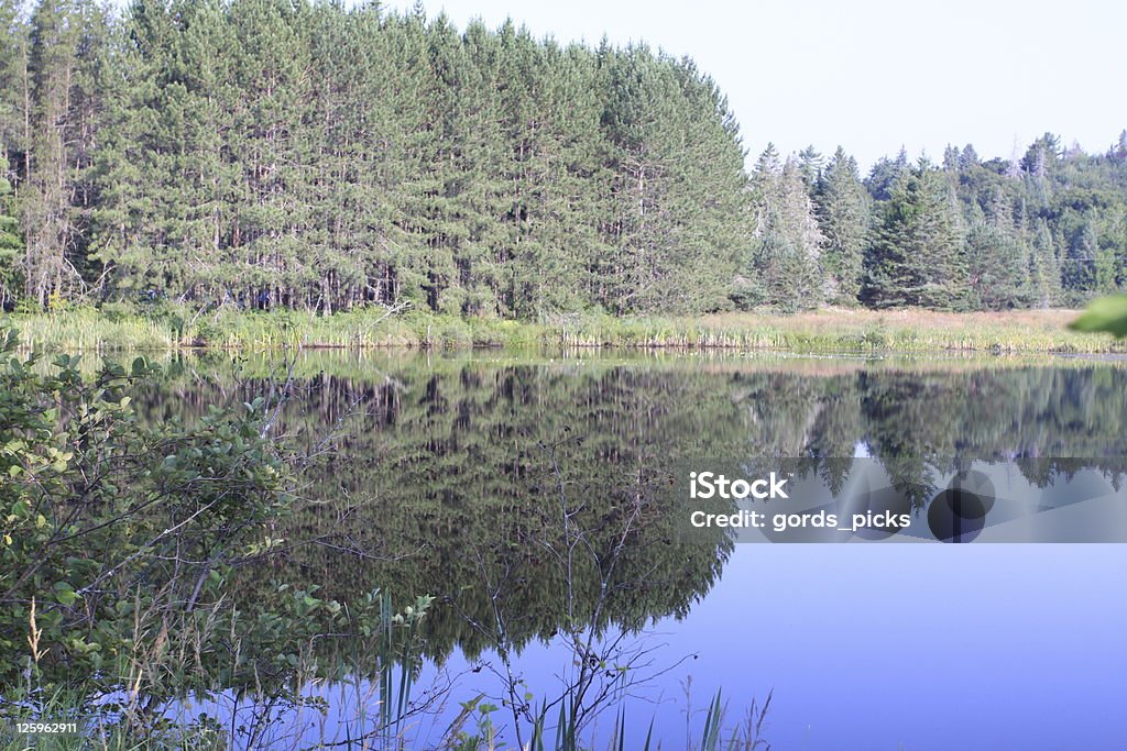 Reflejos en Algonquin Park - Foto de stock de Agua libre de derechos