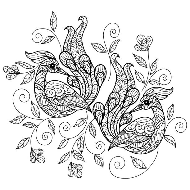 ilustraciones, imágenes clip art, dibujos animados e iconos de stock de zen doodle peacock enreda página para colorear para adultos, estilo zentangle ilustración. - peacock feather outline black and white