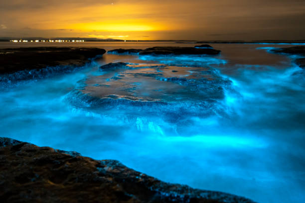 Bioluminescence Bioluminescence Jervis Bay, Australia bioluminescence water stock pictures, royalty-free photos & images