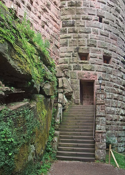 schloss haut-koenigsbourg inmitten detail - koenigsbourg stock-fotos und bilder