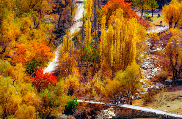 istock Autumn season in gilgit baltistan , Pakistan 1259686401