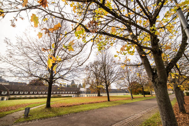 istock Tree avenue with autumn foliage and castle building in the background 1259706830