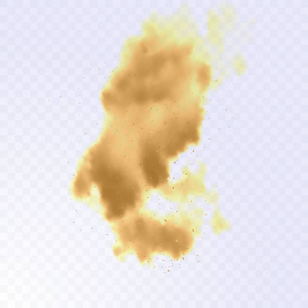 Dust cloud with particles. Realistic vector illustration on transparent background. Sandstorm explosion. vector art illustration