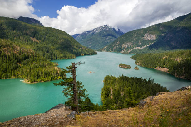 turkusowa woda kolorowa i piękny widok na diablo lake, waszyngton - north cascades national park northern cascade range reservoir mountain zdjęcia i obrazy z banku zdjęć