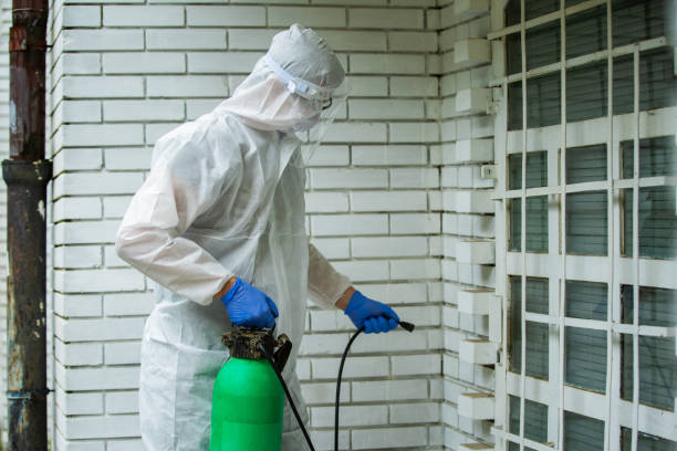 istock Scientist Man Working In The CDC Laboratory For Covid-19 stock photo 1259778984