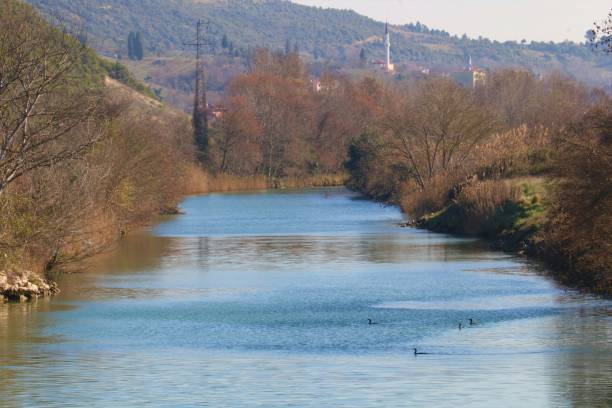 istock Agva region in Turkey 1259783903