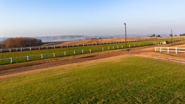 istock Race Horse Traing Tracks Landscape 1259798680