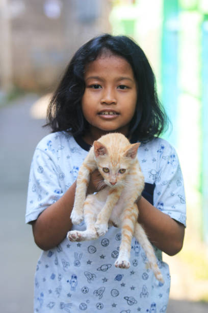 istock Play with lovely cats 1259819390