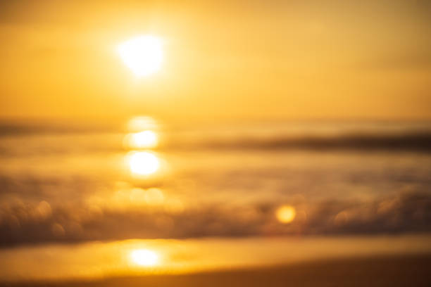istock Tropical beach with smooth wave and sunset sky abstract background. Copy space of business summer vacation and travel adventure concept. 1259823197