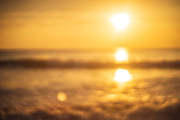 istock Tropical beach with smooth wave and sunset sky abstract background. Copy space of business summer vacation and travel adventure concept. 1259823205