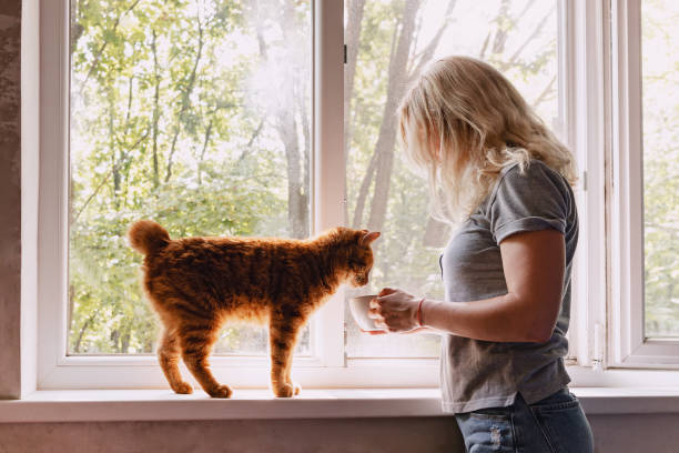 istock Lovely curious ginger cat on the window sill drinking from the woman's cup. 1259826322