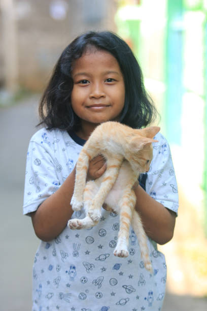 istock Play with lovely cats 1259826360