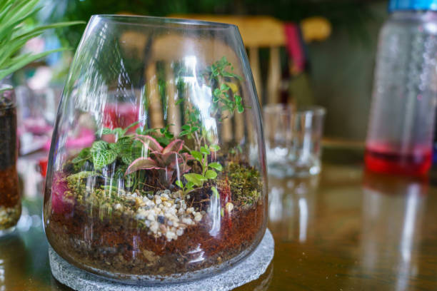 istock A little garden in a glass jar 1259827635