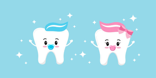 Cute baby tooth boy and girl with dummy vector set isolated on background. Cute baby tooth boy and girl with dummy vector set isolated on background. Collection of sweet and funny teeth signs. Flat cartoon style first tooth design elements. Vector character illustration. teeth clipart stock illustrations
