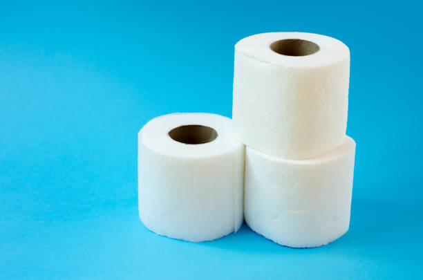istock Three rolls of white toilet paper 1259864872