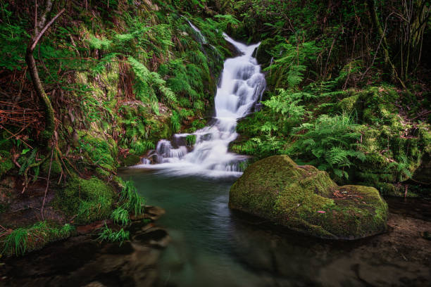 Photo of Small waterfall in Peitieiros, Gondomar, Galicia, Spain