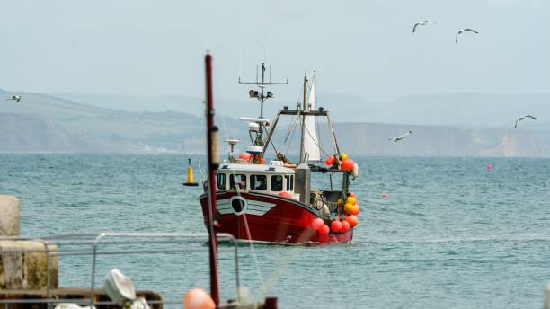 barcos de pesca - the cobb - fotografias e filmes do acervo