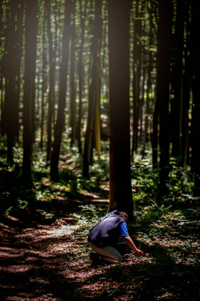 istock Man picking wild edible mushrooms in the forest 1259892834