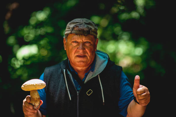 Senior man picking wild edible mushrooms  in the summers day