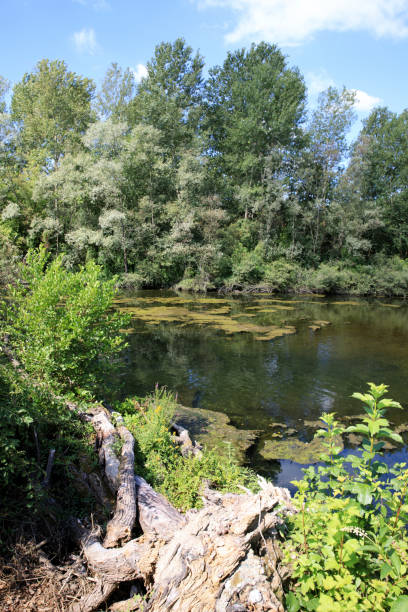 istock Ticino River, Lombardy, Piedmont, Italy. 1259935829
