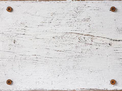 Old, worn, white, weathered, wooden teak panel abstract background with lots of wood grain texture, with four rusty bolts, one of each located in each corner framing the image. A great backdrop for rural and rustic copy space design.