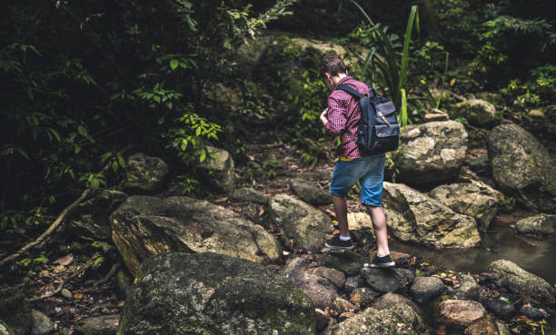 istock Teenage boy exploring a forest 1259957293