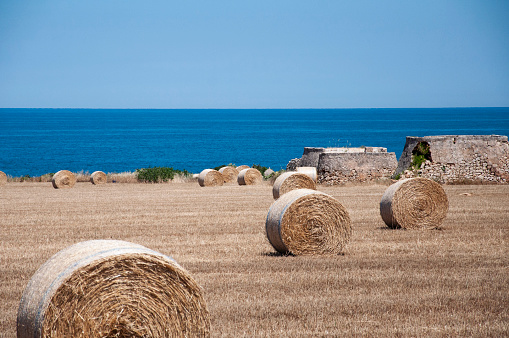 Colors, flavors and scents of Puglia