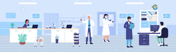 illustrazioni stock, clip art, cartoni animati e icone di tendenza di laboratorio clinico ospedaliero lavoro illustrazione vettoriale piatta, cartoon doctor ricercatore team di personaggi che lavorano in background di centro di ricerca medica - medical research backgrounds laboratory chemistry class