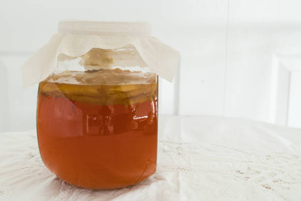 istock Bottle of kombucha tea with scoby brewing 1259970381