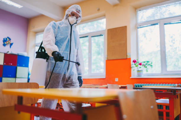 istock Back to school after Covid-19 1259972419