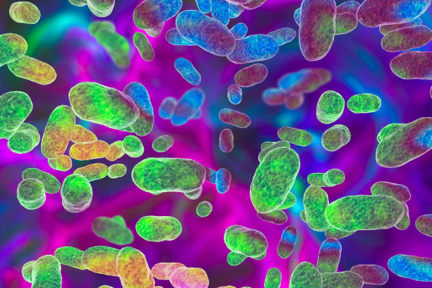 porphyromonas-ingiviva-bakterien - anaerobic stock-fotos und bilder